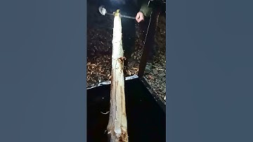 The Answer to Bark Removal You Didn’t Know You Needed - Tree Bark Scraper Drawknife