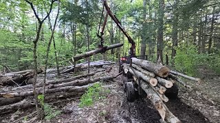 Loading up the forwarder and hauling logs