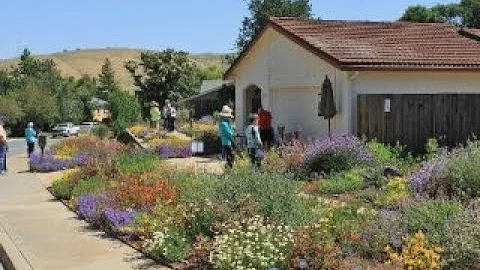 Gardening with California native plants: Nancy Nie...