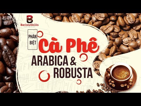 Video: Làm Thế Nào để Phân Biệt Arabica Và Robusta?