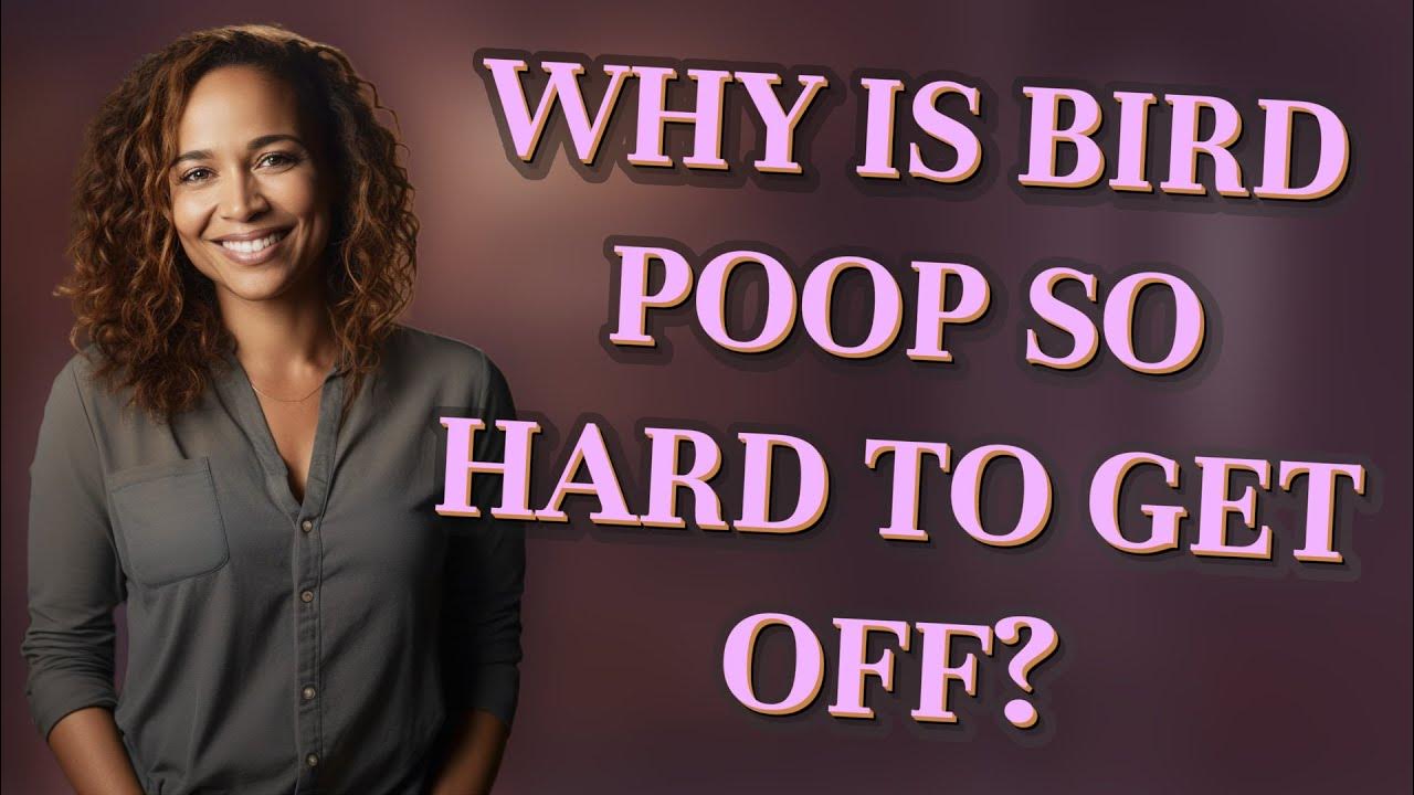 Why is bird poop so hard to get off? YouTube
