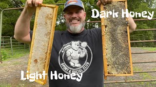 What kind of honey are YOUR Bees making