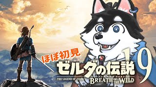 【はじめてのゼルダの伝説】＃19 山多すぎて高低差ぎゅんぎゅんの旅【BotW】