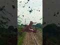 when in train.. train accidentaly hit donkey #train #railway #reels #tiktok #shorts