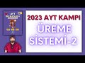 Reme sistemi2 ayt biyoloji kamp konu anlatm 11snf 2024 tayfa