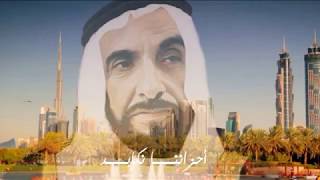 Zayed زايد