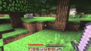 :   !!! 1 [Let's Play] - MINECRAFT