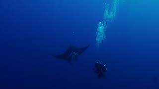 Red Sea Redemption - Daedalus and Deep South