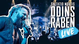 Odins Raben LIVE | ON STAGE POV | Saltatio Mortis