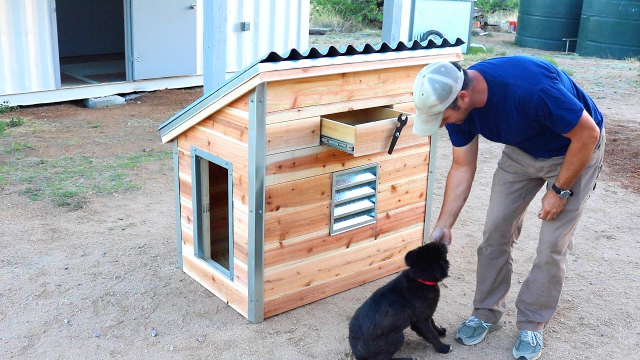 dog house for puppies