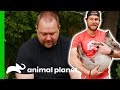 Dan And Chris Rescue Two Super Cute Mangalica Pigs | Saved By The Barn