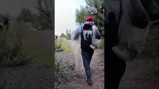 Spigolona sulle roccie