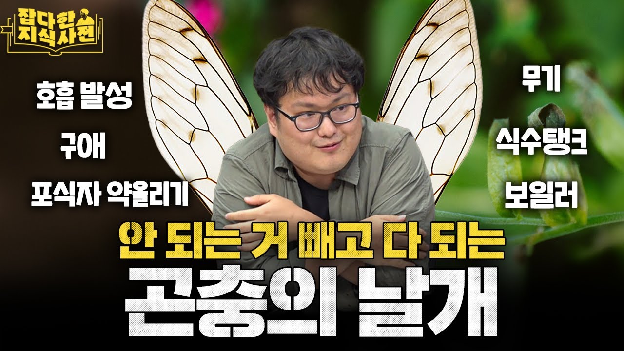 홈쇼핑에서 팔았으면 하는 곤충날개의 놀라운 기능🪽