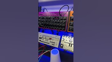 Behringer EDGE-  SOUND DEMO ! (No talking)