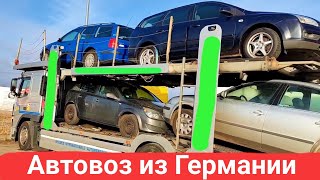 Автовоз из Германии, свежий завоз. Цены с трала и на рынке.