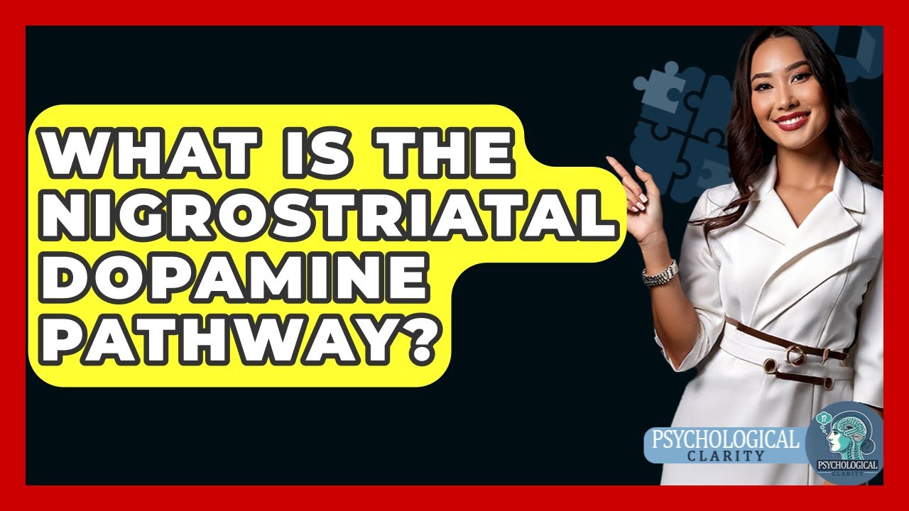 What Is The Nigrostriatal Dopamine Pathway? - Psychological Clarity