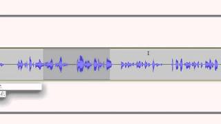 Celebrity Audacity 1.3 Beta Issue on the Mac Net Worth