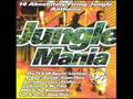 Video thumbnail for Jungle Mania 94 D.M.S.  & The Boneman X Sweet Vibrations