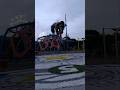 𝐻𝒾! ( #quadrobics #quadrobist #quads #antizoo #silly )
