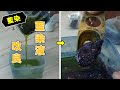 【藍染】藍染め液作り方の短時間テクニック、染料の制作手順を学ぼう。/ [Indigo dyeing] How to make beautiful indigo dye liquid