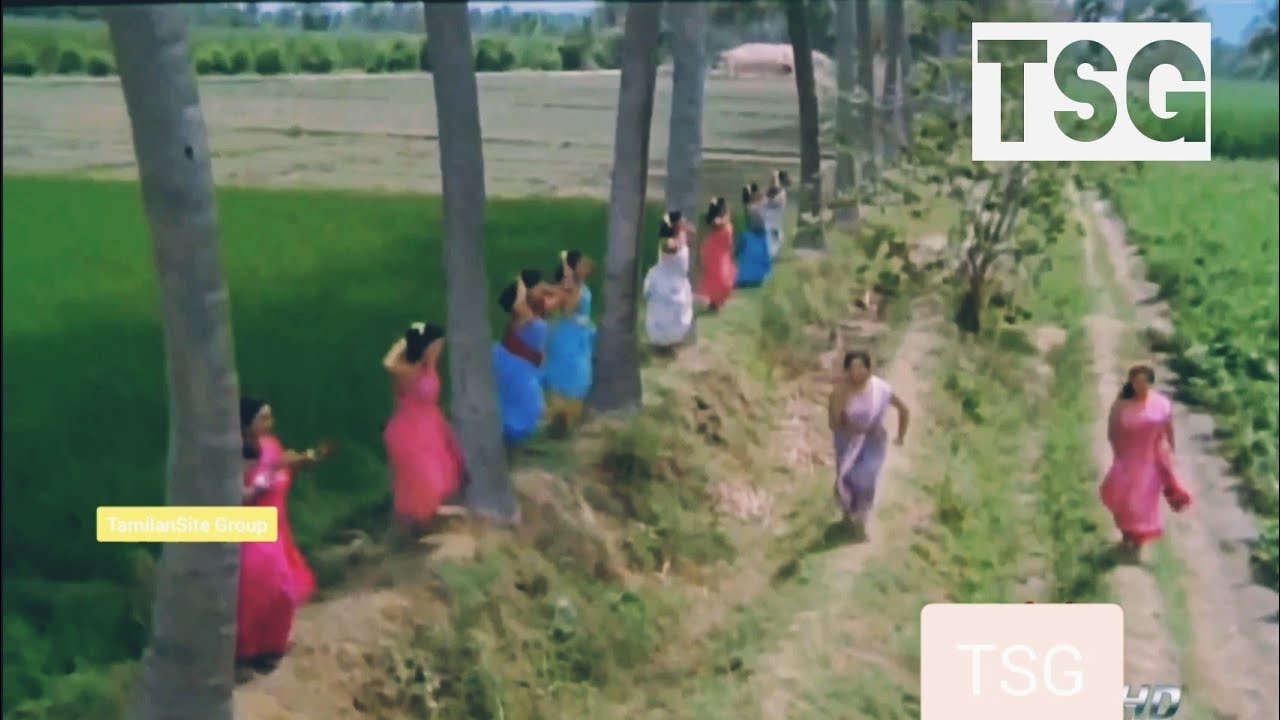Samba Nathu Saara Kaathu Song I Cheran Pandian Movie