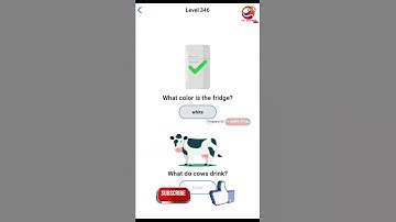 EASY GAME LEVEL 346 What Color Is The Fridge ❓