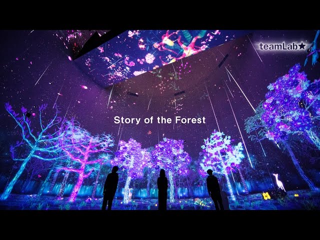 Story of the Forest