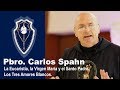 Padre Carlos Spahn - "La Eucaristía, la Virgen María y el Santo Padre" (JULIO 2018)