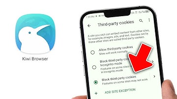 How to Block Third - Party Cookies in Kiwi Browser