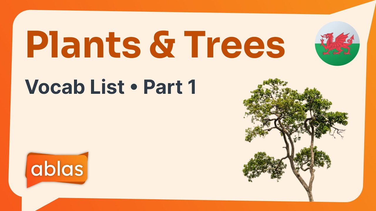 Plants & Trees | Welsh Vocabulary List (Part 1) - YouTube