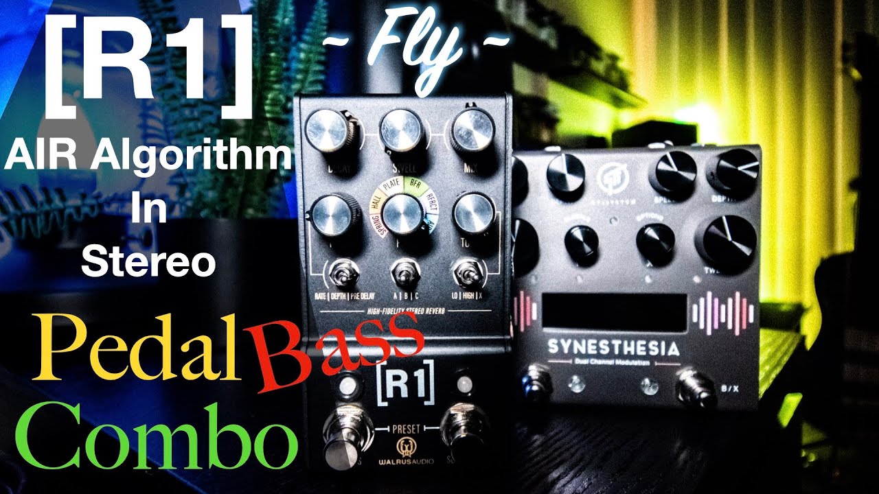 Effect Pedal Combo Bass [R1] Mako Series Stereo Reverb AIR Algorithm