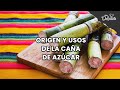 Origen y uso de la caña de azúcar.| Cocina Delirante