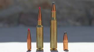 6.5 Creedmoor vs 3006 Springfield: A Detailed Comparison & Analysis