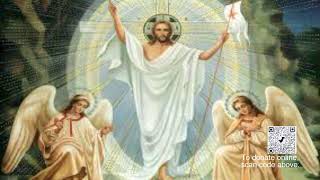 St. Luke Catholic Church Live Stream
