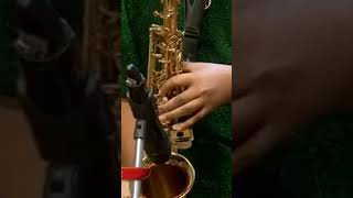 saxophone Coversong bachna Ae Haseeno