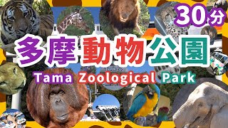 多摩動物公園（ライオンバス・昆虫館・多摩動物公園駅モノレール）