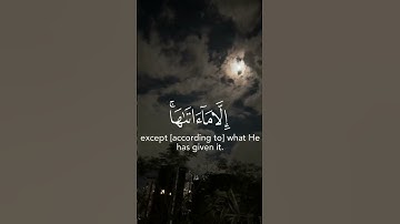 [سورة الطلاق:7] رعد الكردي