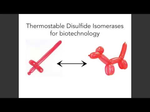 Disulfide isomerases - RedEx2018