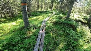 Västermark Vandringsled, Hiking Trail Pt1 Large Loop