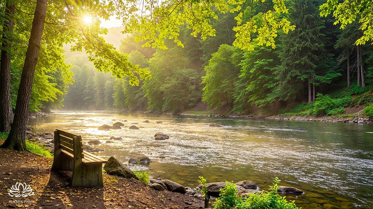 Restore your nervous system 🌿 Relaxing music helps reduce anxiety and stop overthinking