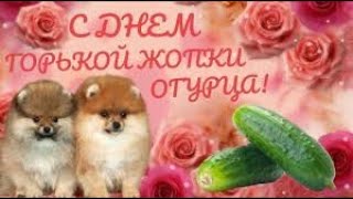 Когда зашёл в WhatsApp: