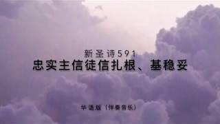 忠实主信徒信扎根、基稳妥(新圣诗591)伴奏音乐
