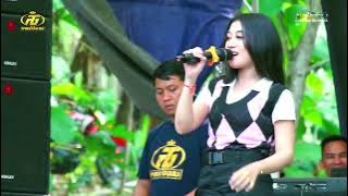 Camelia II Amilia Vey II New PREGGAS  Live Music