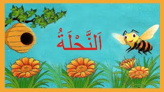نشيد النَّحْلةُ مع الموسيقى - في رحاب اللغة العربية المستوى الثاني Song : Bee