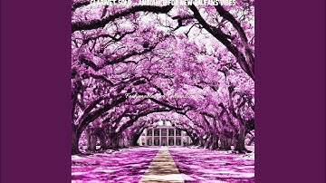 Pulsating Backdrops for New Orleans