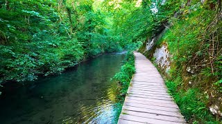 Dovedale to Milldale 26th Best British Walk, English Countryside 4K