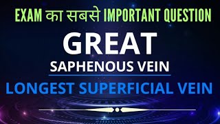 GREAT SAPHENOUS VEIN