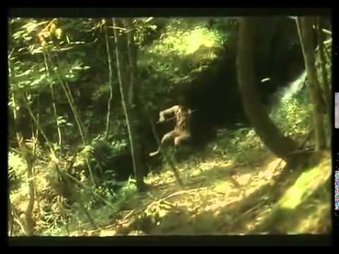 Trollsommar 1980   Svensk full film för barn
