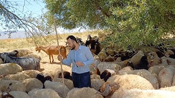 يقلد الشيخ محمد صديق المنشاوي #_القارئ سفيان عبدالقادر