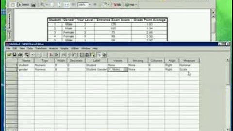 YouTube SPSS Lecture Series 1 of 5 - Data Entry
